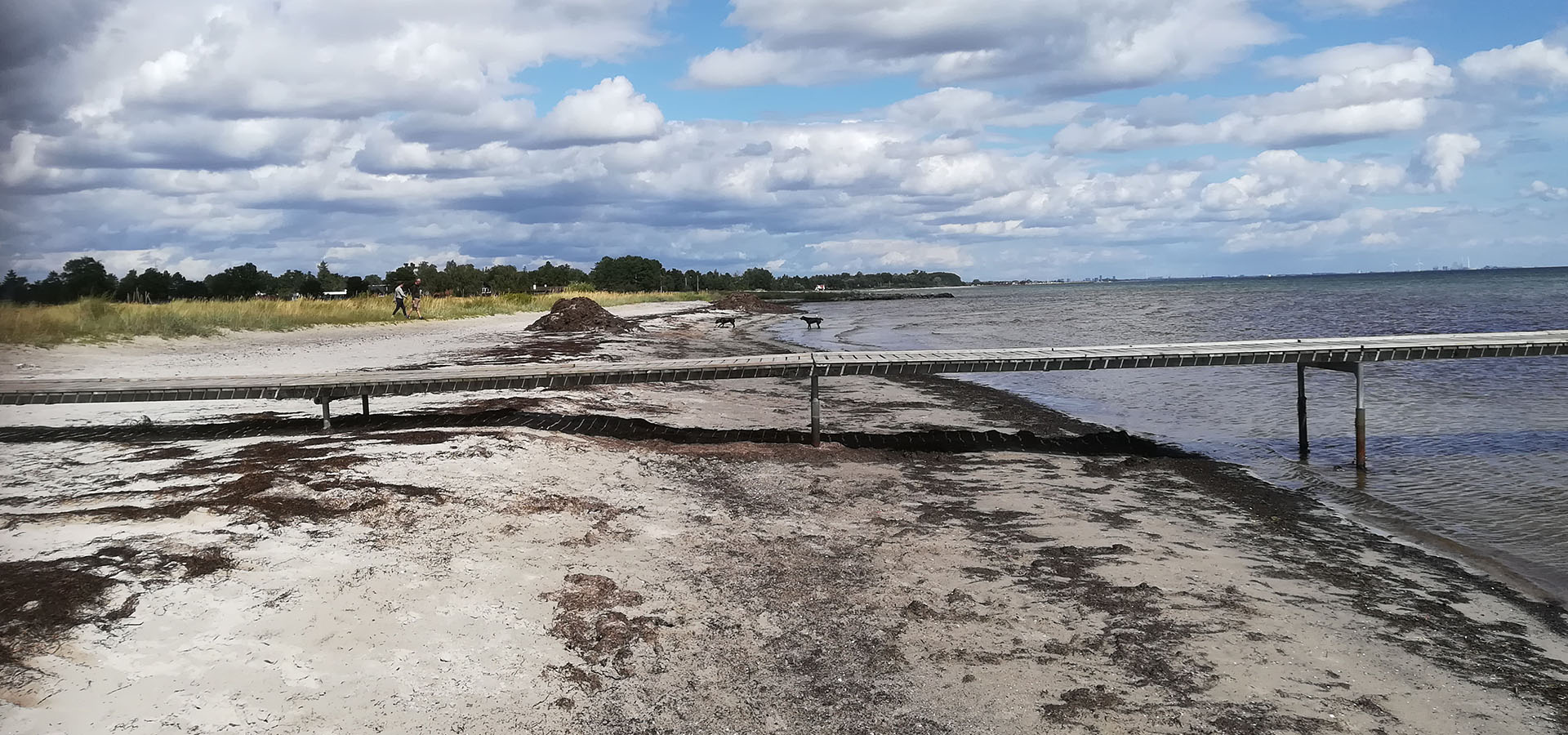 Solrød Strand Havehjælp - Servicehelper