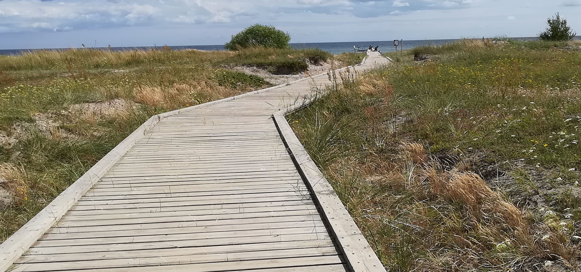 Solrød Strand Havehjælp - Servicehelper