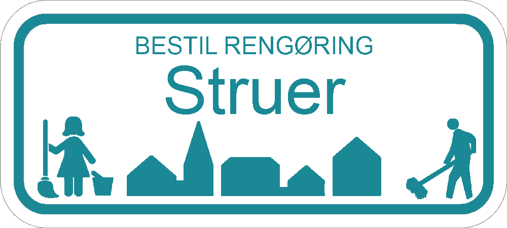 Rengøring Struer