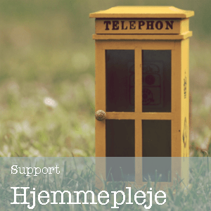 Support hjemmepleje