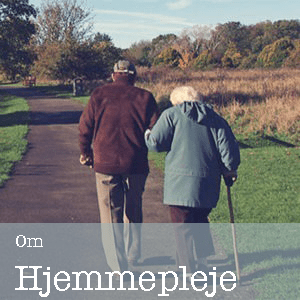 Info Hjemmepleje