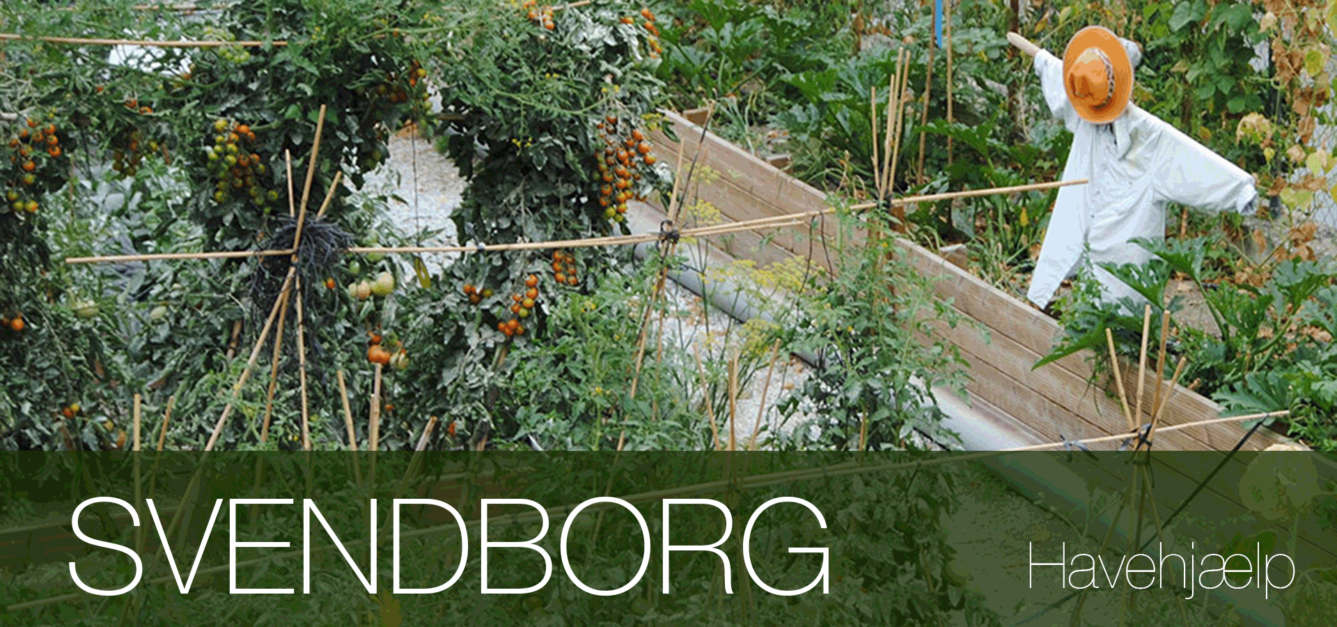 Havearbejde lokal havehjælp Svendborg