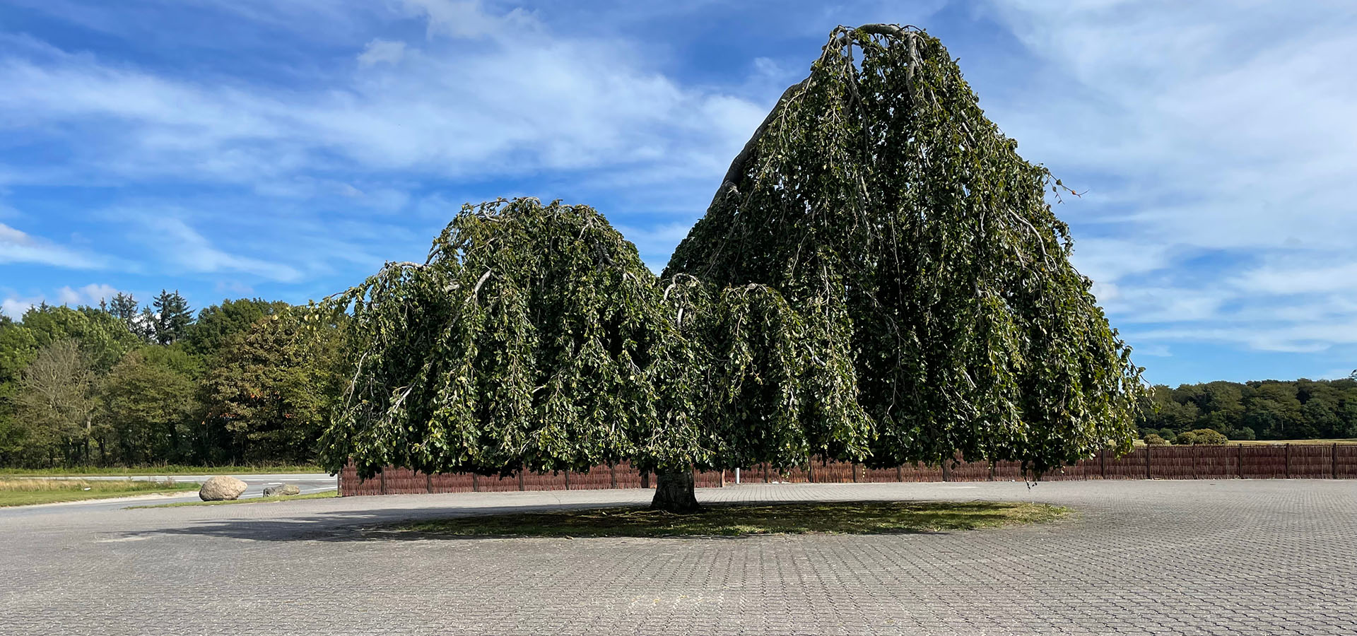 Trige havemand, havehjælp